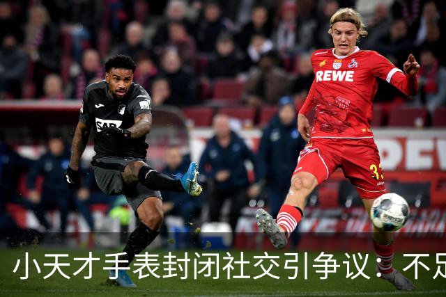 小天才手表封闭社交引争议：不足三成销量贡献超半数销售额，销售额份额排名第一；华为加速追赶