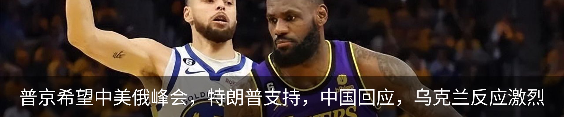 新闻动态